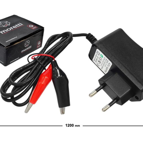 Accu lader Elektrisch