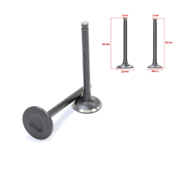 Pitbike Quad kleppenset type A