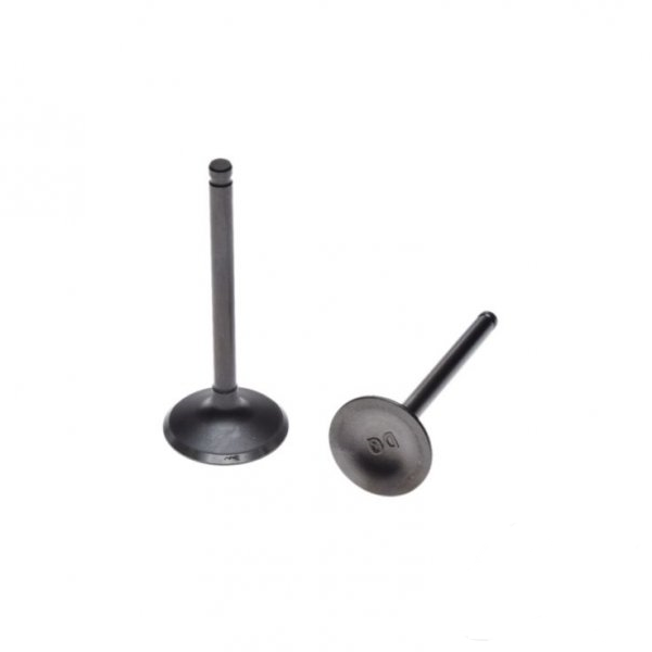 Pitbike Dirtbike kleppen set YX140