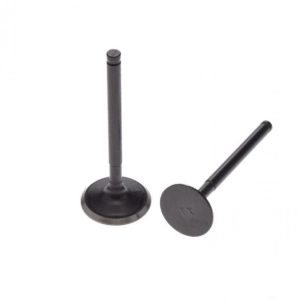 Pitbike Dirtbike kleppen set YX160